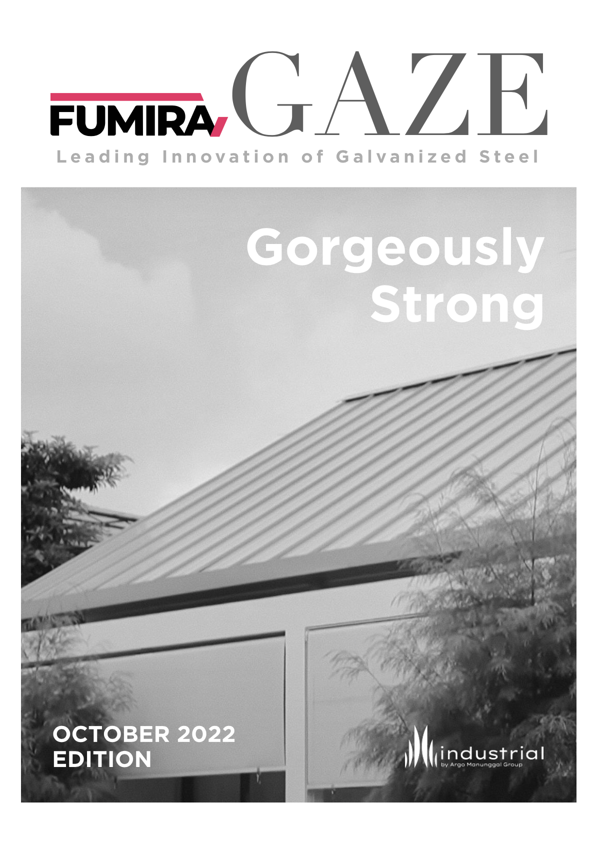 FumiraGaze October 2022